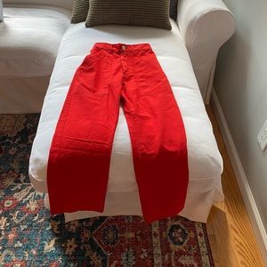 Brand new pair of Big Bud Press work pants